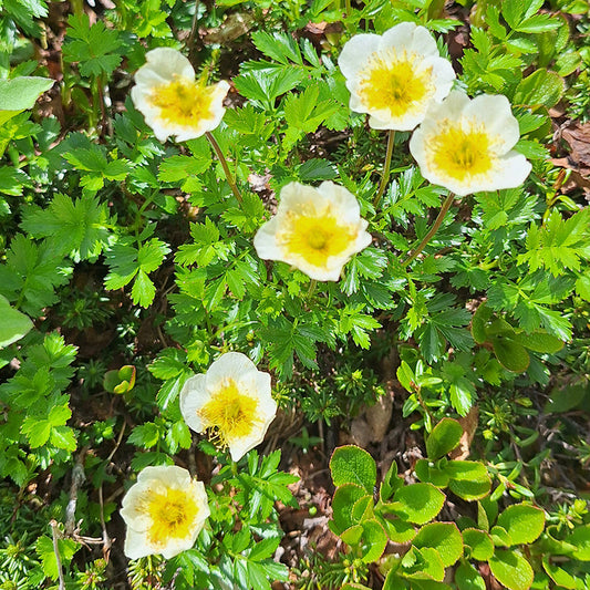 植生の多さにビックリです!